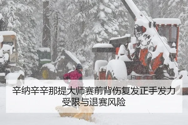 辛纳辛辛那提大师赛前背伤复发正手发力受限与退赛风险
