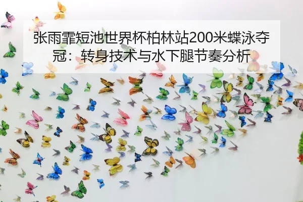 zhang-yu-fei-duan-chi-shi-jie-bei-bo-lin-zhan-mi-die-yong-duo-guan-zhuan-shen-ji-shu-yu-shui-xia-tui-jie-zou-fen-xi-2-470.jpg