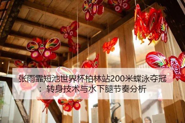 张雨霏短池世界杯柏林站200米蝶泳夺冠：转身技术与水下腿节奏分析